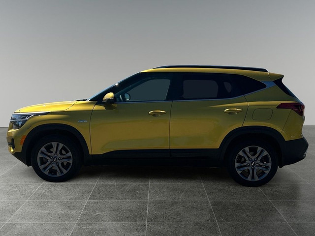 2021 Kia Seltos EX / Heated Seats / Back up Camera in Cars & Trucks in Calgary - Image 2