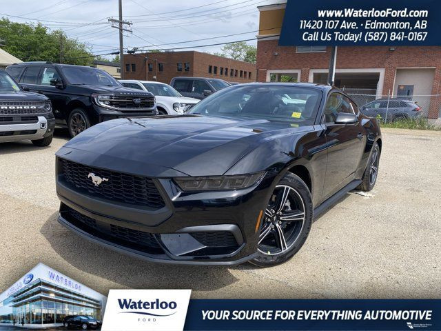 2025 Ford Mustang EcoBoost Premium in Cars & Trucks in Edmonton