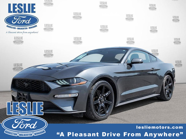 2019 Ford Mustang EcoBoost Fastback in Cars & Trucks in Stratford