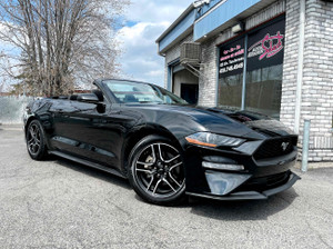 2019 Ford Mustang EcoBoost Convertible Clean Carfax Triple Black