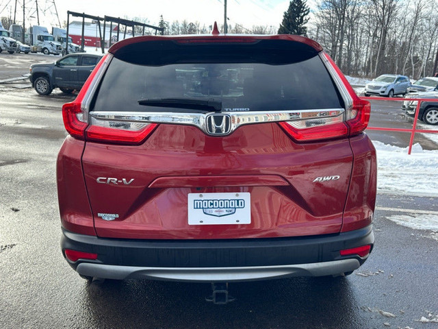 2019 Honda CR-V EX AWD - Sunroof - Heated Seats in Cars & Trucks in Moncton - Image 4