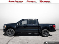 Apple Carplay / Android Auto, 1 Owner, Clean Accident History Report, 4WD, Air Conditioning, Class I... (image 2)