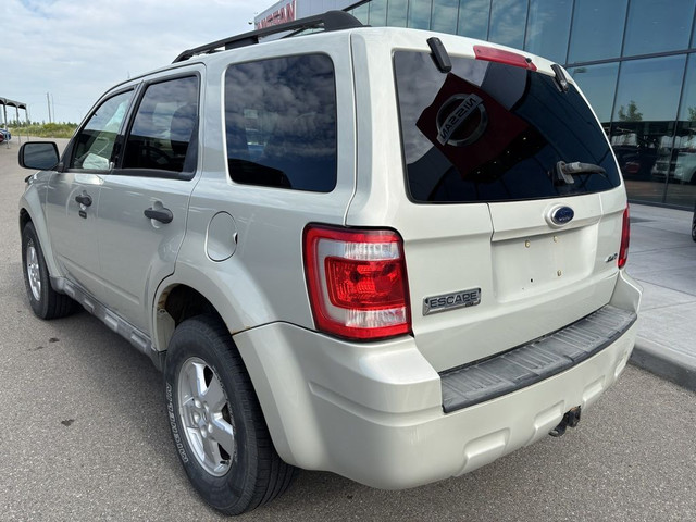 2009 Ford Escape V6 XLT 4WD | Accident Free Carfax in Cars & Trucks in Calgary - Image 4