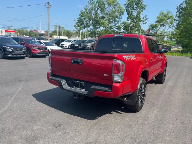 2021 Toyota Tacoma MANUAL TRANSMISSON!! PRICED TO MOVE! BACK... in Cars & Trucks in Annapolis Valley - Image 6