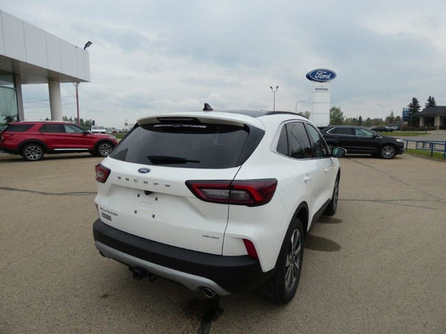 Platinum AWD in Cars & Trucks in Edmonton - Image 2