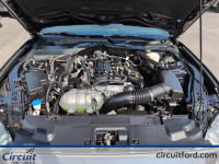 La Ford Mustang décapotable 2023 incarne l'élégance sportive à ciel ouvert. Son moteur 2.3L EcoBoost... (image 6)