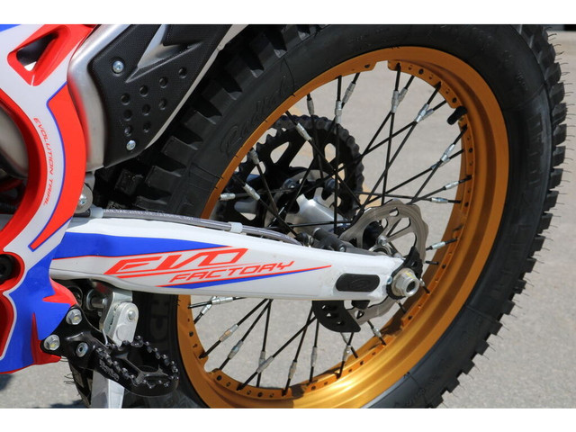  2023 Beta EVO 2T 300 in Dirt Bikes & Motocross in Winnipeg - Image 3