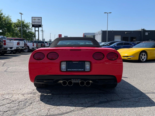1999 Chevrolet Corvette in Cars & Trucks in Oakville / Halton Region - Image 4