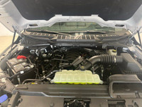 FUTURE FORD is a well-established dealership in the SASKATCHEWAN region. We carry premium new and us... (image 6)