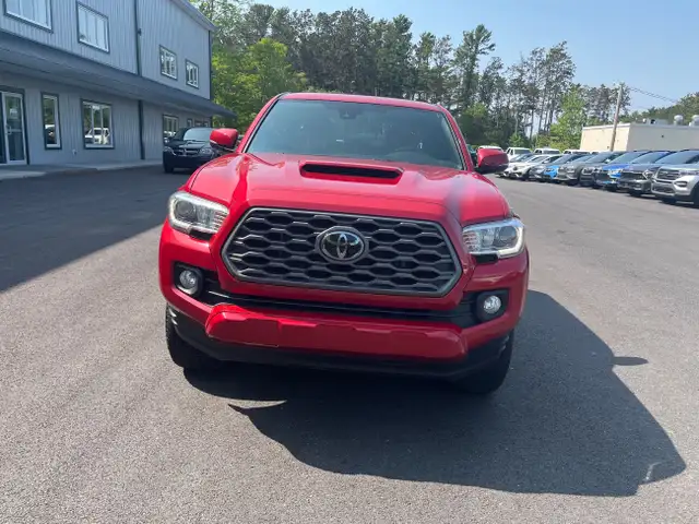 2021 Toyota Tacoma MANUAL TRANSMISSON!! PRICED TO MOVE! BACK... in Cars & Trucks in Annapolis Valley - Image 4