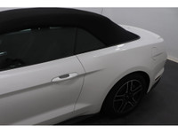 +Apple Carplay +Android Auto +Bluetooth +Caméra de recul / Backup camera +Régulateur de vitesse / Cr... (image 4)