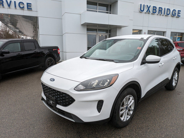 2020 Ford Escape SE 4WD - SYNC3/Nav/Tech Features and more!!!! in Cars & Trucks in Kawartha Lakes