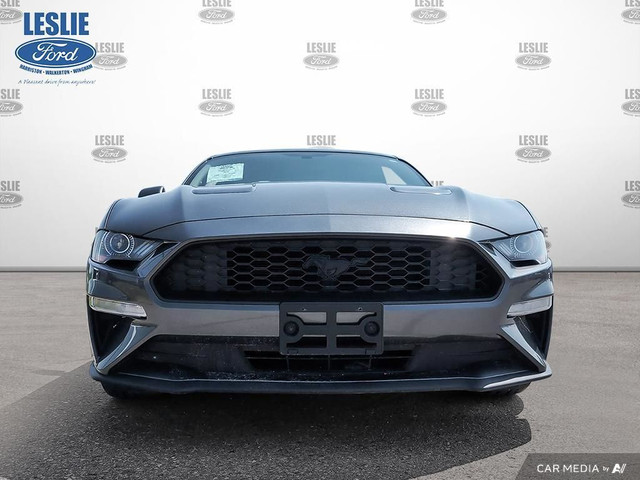 2019 Ford Mustang EcoBoost Fastback in Cars & Trucks in Stratford - Image 2