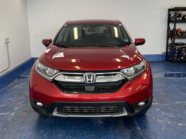2019 Honda CR-V in Cars & Trucks in Truro - Image 2