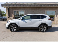 GREAT VALUE CRV! - Remote Start - Backup Camera - Bluetooth - Adaptive Cruise Control - Lane Keep As... (image 3)