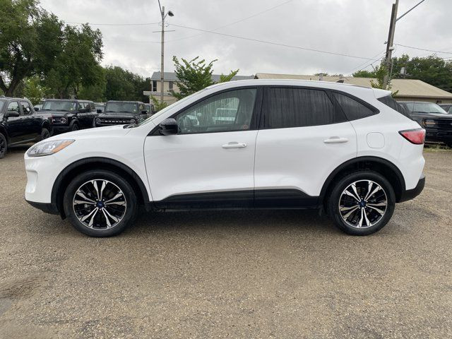 2022 Ford Escape SE | Co-Pilot 360 | Voice Nav | Heated Seats in Cars & Trucks in Edmonton - Image 3