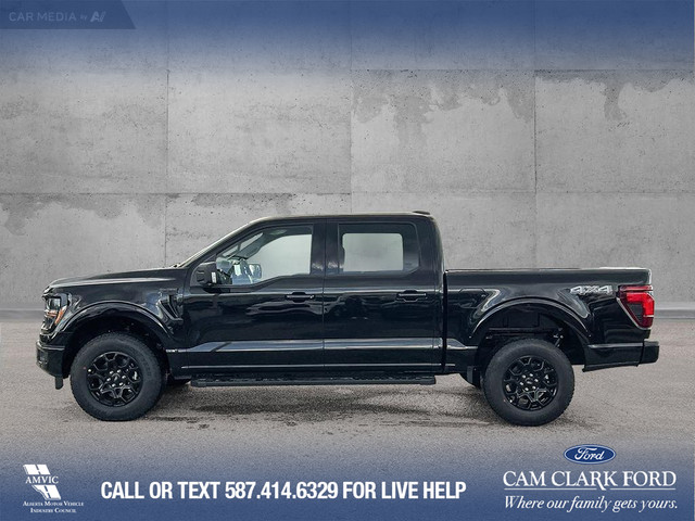 2025 Ford F-150 XLT in Cars & Trucks in Calgary - Image 4