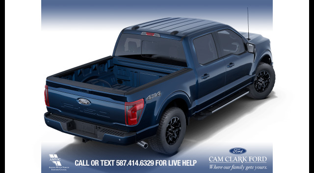 2025 Ford F-150 XLT in Cars & Trucks in Calgary - Image 4