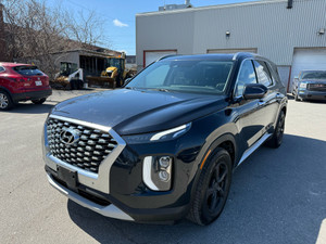 2020 Hyundai Palisade Luxury