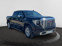This 2025 GMC Sierra 1500 in Onyx Black is equipped with 4WD and Gas V8 5.3L/325 engine. *This Sierr... (image 6)