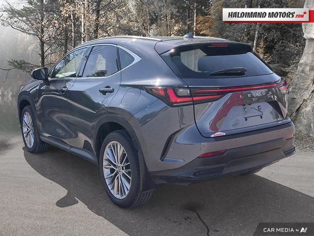 2023 Lexus NX NX 350 in Cars & Trucks in Hamilton - Image 3