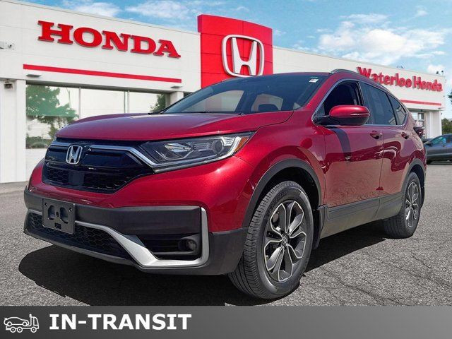 2020 Honda CR-V EX-L | AWD | ACCIDENT FREE | LEATHER | SUNROOF in Cars & Trucks in Kitchener / Waterloo