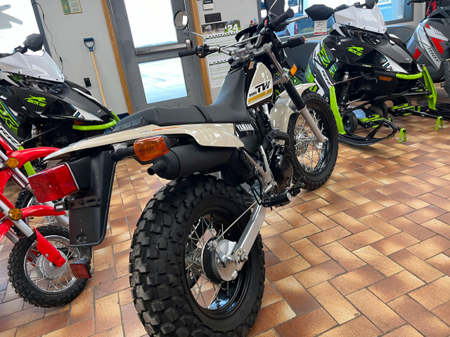 2019 Yamaha TW200 Dual Purpose Other Norfolk County Kijiji