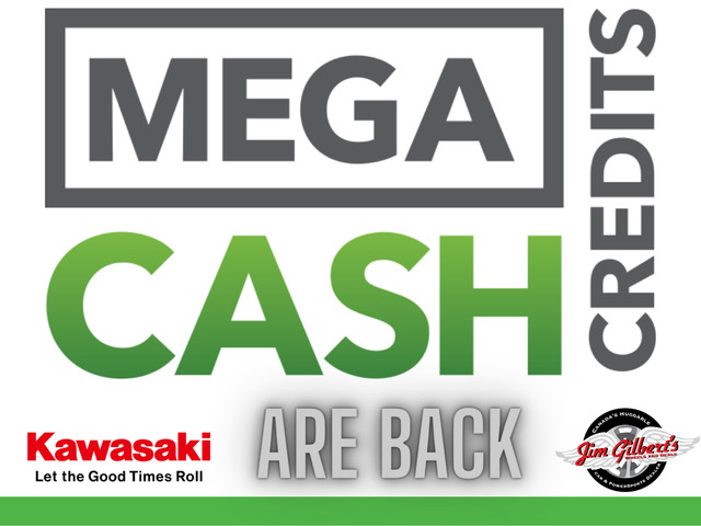 2024 KAWASAKI TERYX S LE - MegaCash Discount in ATVs in Fredericton - Image 2