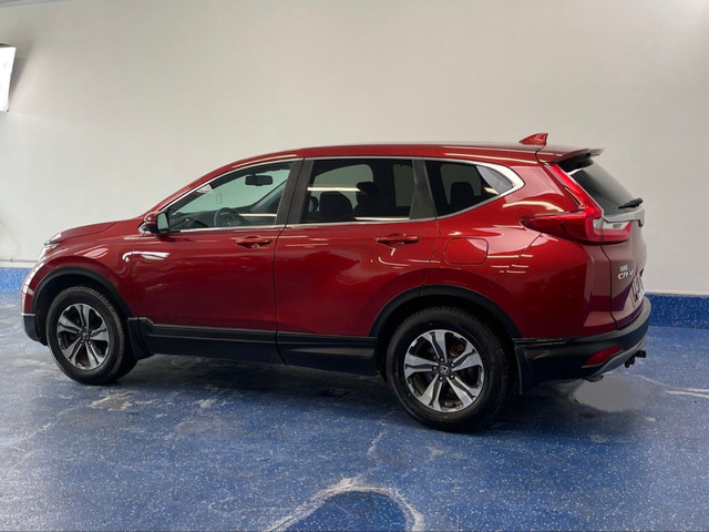 2019 Honda CR-V in Cars & Trucks in Truro - Image 4