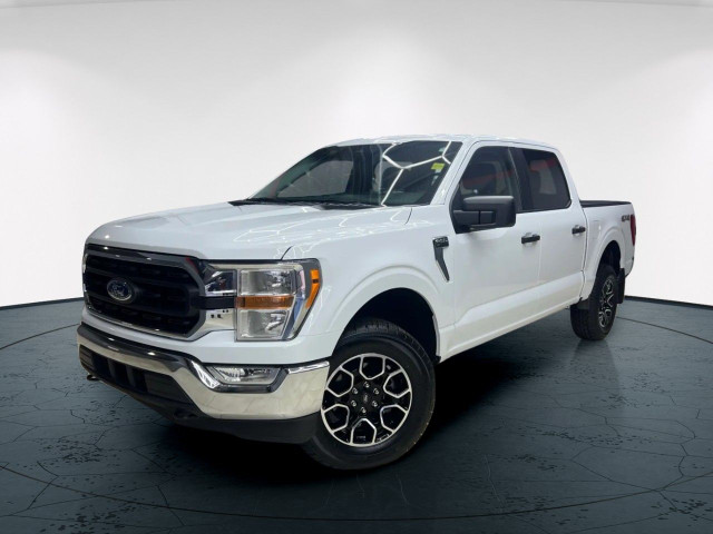 2022 Ford F-150 in Cars & Trucks in Edmonton - Image 3