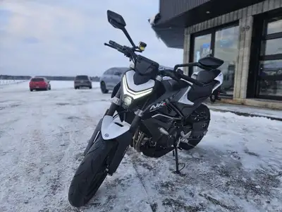 NOUVEAUTÉ SUR LE MARCHÉ ! 1ER ENTRETIEN GRATUIT!! GARANTIE 5 ANS - Moteur DOHC avec Bosch EFI 449 cc...