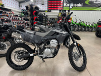 2024 Kawasaki KLX 300