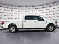 Thanks for viewing our House Of Cars Argyll inventory! AMVIC licensed dealer! The 2022 Ford F-150 XL... (image 7)