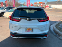 AWD! Fuel Saving 1.5Ltr 4cyl Turbo Automatic! Sunroof! Backup Camera! Heated Seats! Dual Zone AC! Ad... (image 4)