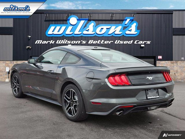 2020 Ford Mustang EcoBoost Premium Coupe | 6-Speed Manual in Cars & Trucks in Guelph - Image 3