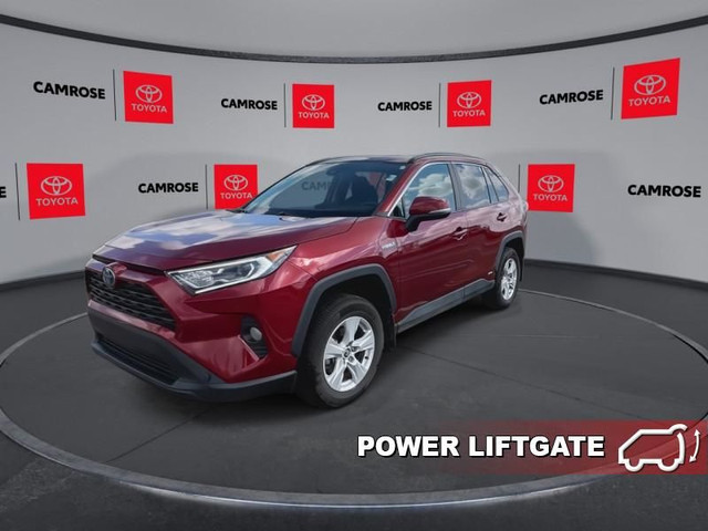 2021 Toyota RAV4 Hybrid XLE - Sunroof - Power Liftgate in Cars & Trucks in Edmonton - Image 4