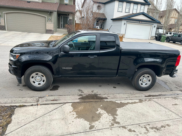 2019 Chevrolet Colorado WT in Cars & Trucks in Calgary - Image 3