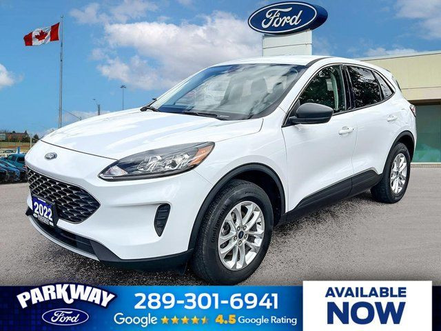 2022 Ford Escape SE in Cars & Trucks in Kitchener / Waterloo