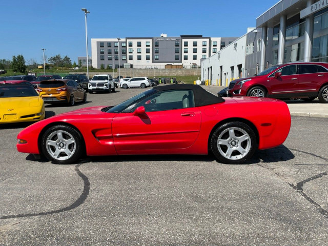 1999 Chevrolet Corvette in Cars & Trucks in Oakville / Halton Region - Image 2