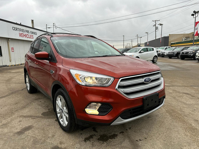 2019 Ford Escape SEL FWD - Power Liftgate - Park Assist in Cars & Trucks in Saskatoon - Image 4