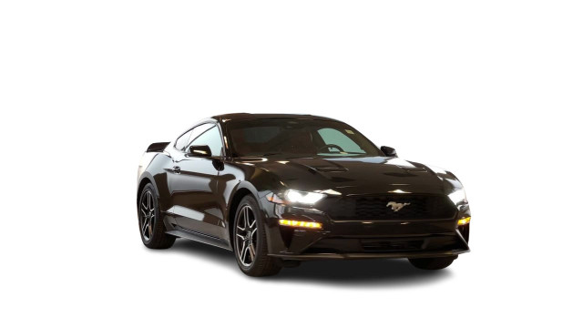 2022 Ford Mustang Coupe Ecoboost Premium Fully Loaded! Just Redu in Cars & Trucks in Regina - Image 3