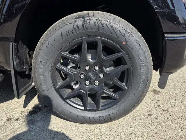 2025 Ford F-150 STX | BLACK APP PKG | MOBILE OFF PKG | BLIS dans Autos et camions dans Calgary - Image 6
