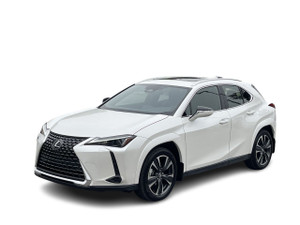 2025 Lexus UX NONE