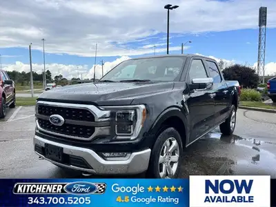 This Ford F-150 boasts a Regular Unleaded V8 5.0 L engine powering this Automatic transmission. ENGI...