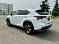 Alexander The Great Inc. 2695 Durante Way. Milton, ON, L9T 5J1 Phone: 647-638-5337 / Whatsapp: 416-8... (image 7)