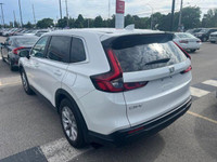 Come visit our London Honda team, you can find us at 560 Wharncliffe Rd S, London, ON, N6J 2N4, or c... (image 3)