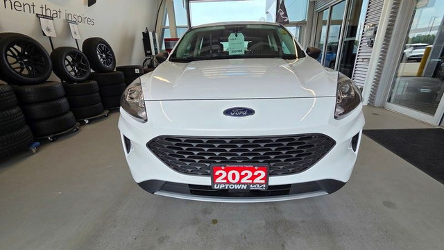 2022 Ford Escape in Cars & Trucks in Cornwall - Image 2