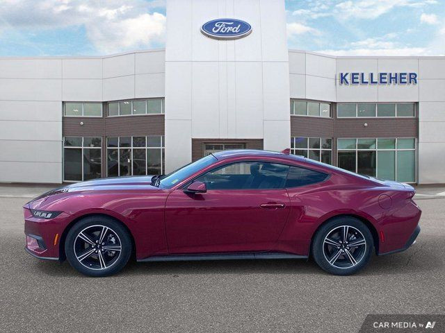 2025 Ford Mustang EcoBoost Premium in Cars & Trucks in Brandon - Image 2