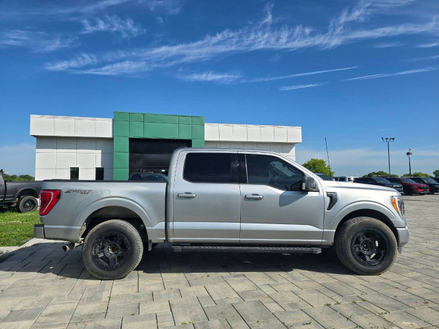 2021 Ford F-150 in Cars & Trucks in Ottawa - Image 4