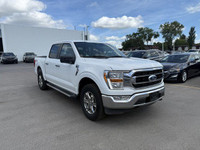 Come see this 2022 Ford F-150 while we still have it in stock! *You Can't Beat the Price with These... (image 7)